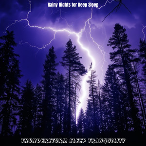 夜の瞑想ピアノBGM (雨)