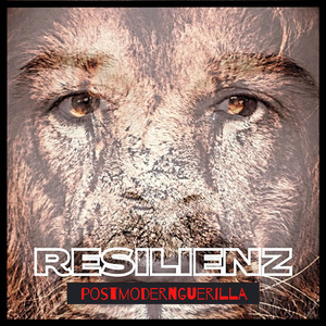 Resilienz