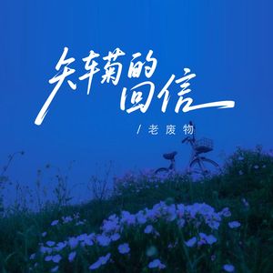 矢车菊的回信