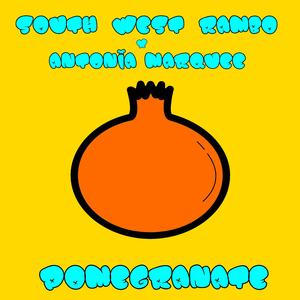 Pomegranate (feat. Antonia Marquee)