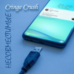 Несовместимые