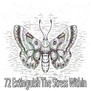 沉浸在你的靈魂中