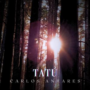 Tatú