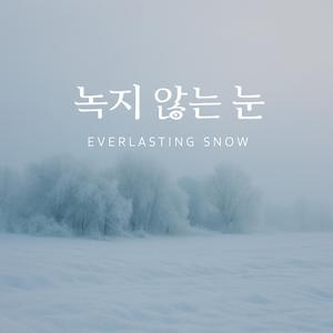 녹지 않는 눈