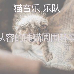有趣睡猫情怀