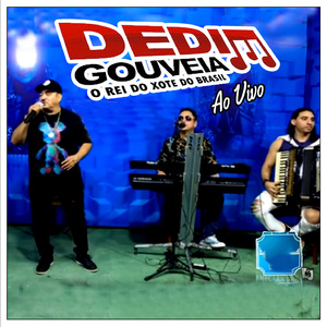 Zé Priquito - Ao Vivo