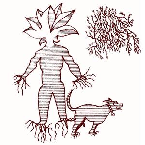 Book of Beautiful Devices