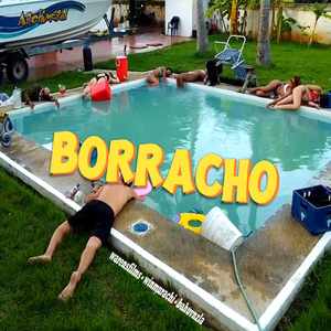 Borracho