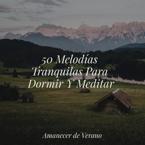 Oasis de Imaginación Giratoria