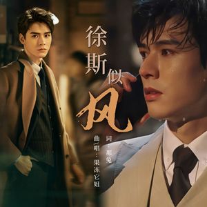 徐斯似风—电视剧《我要逆风去》同人曲