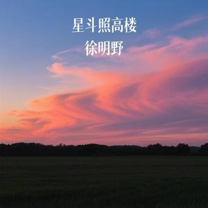 星斗照高楼