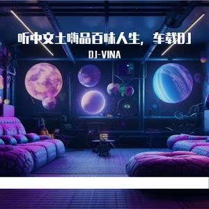 欢喜就好DJ（DJ-VINA remix）