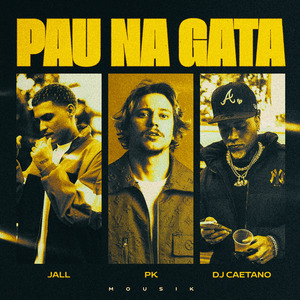 Pau na Gata (Remix)