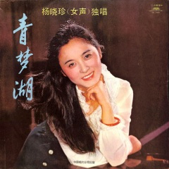 饮酒请进杏花村