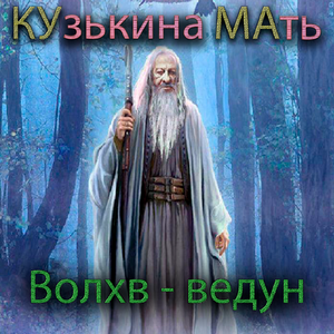 Волхв-ведун