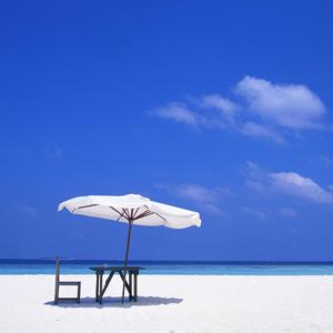 TA（翻自 焦迈奇）