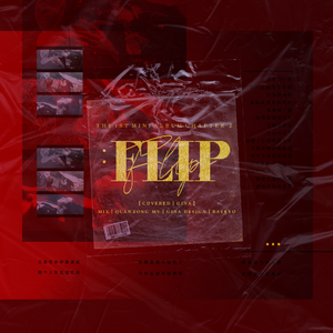 Flip