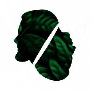 Bloom Like An Evergreen (feat. ENDR)