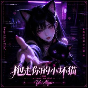 抱走你的小坏猫 (Sweet Little Thief)