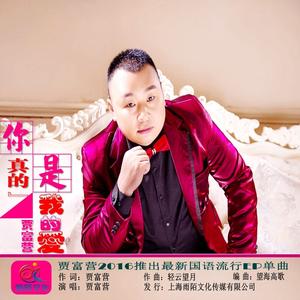 你真的是我的爱 (KTV伴奏)