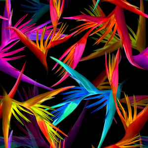 Bonafide (Radio Edit)