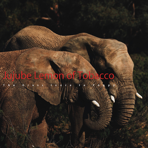 Flower Death in Purple