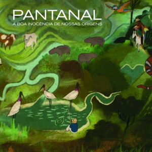 O Pantanal Paralisa