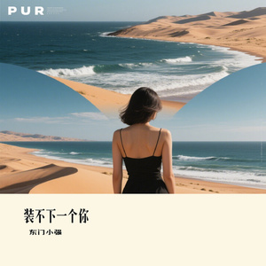 装不下一个你