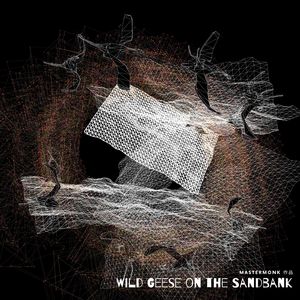 Wild geese landing on the sandbank