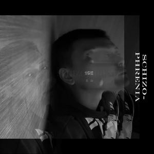 分裂症(schizophrenia)