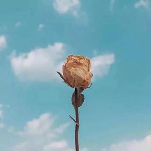 冬天时我喜欢靠近温暖的事