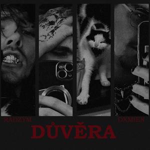 Důvěra