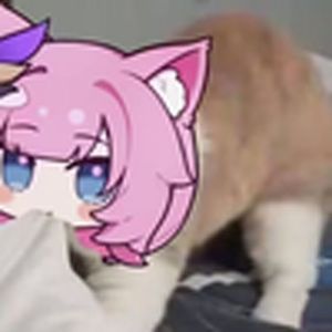 《DaDaDa》但是爱莉希雅