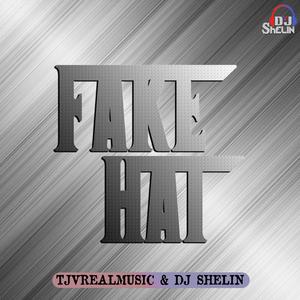 Fake Hai (feat. TJVrealmusic)