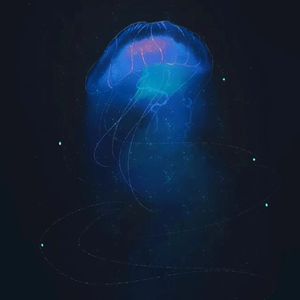 生命河流