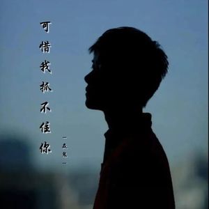 可惜我抓不住你（伴奏）