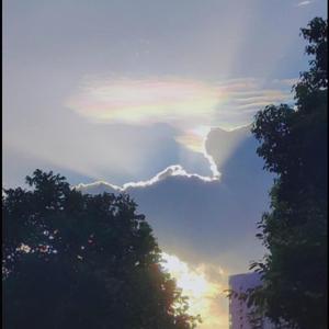 highlight(Prod by.JestonBeatz)