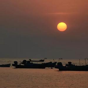 sini oylap （凯迪sir 吉他