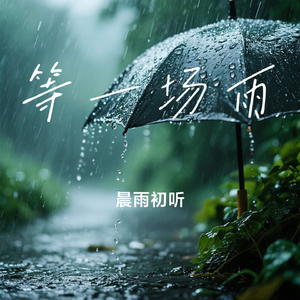 等一场雨