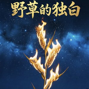野草的独白