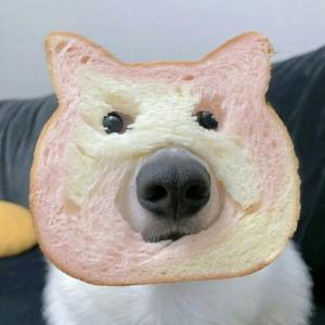 暗恋（翻唱）