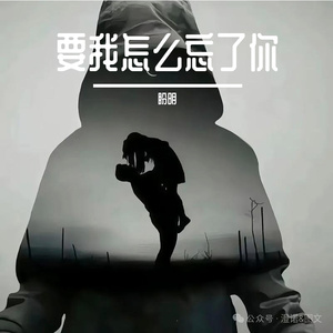 要我怎么忘了你