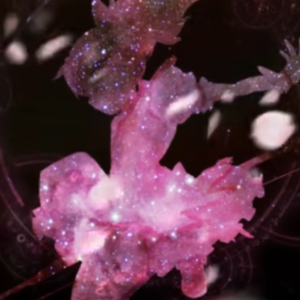 【无性别空灵感ver.】Sis puella magica!（成为魔法少女吧！）