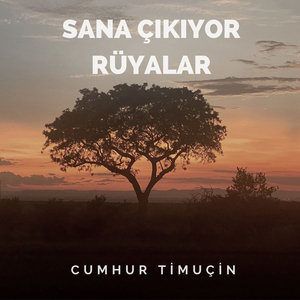 Sana Çıkıyor Rüyalar