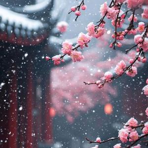 Dreamy Balcony Flows