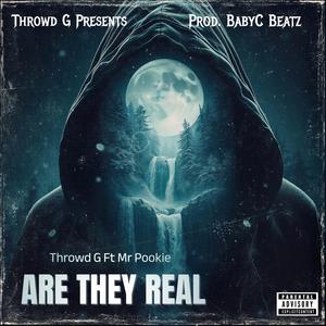 Are They Real (feat. Mr. Pookie)
