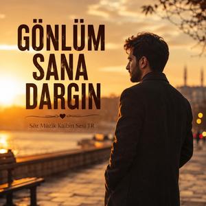 Gönlüm Sana Dargın