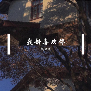 我好喜欢你（完整版）