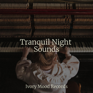 Aerial Voyage of Dreams