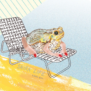 Fishing with a Shotgun